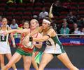 Featured image for “SPAR PROTEAS TO PLAY TEST SERIES AGAINST WALES”